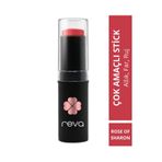 REVA Çok Amaçlı Stick Allık, Far, Dudak Renklendirici & Lip Cheek Eye Tint-vegan & Temiz Içerikrv110
