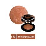 REVA Terrakota Allık & Terracotta Blusher RV543