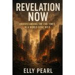Revelation Now: Understanding the End Times in a World Gone Wild: How Biblical Prophecy, World News, and Real Life Collide for adults Trying to Make Sense of It All for beginners