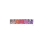 Revolution Pro Glam Pallatte Smokey Zebra Far Paleti
