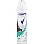 Rexona İnvisible Black+White Fresh 150 ml Deodorant