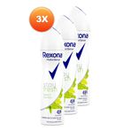 Rexona Stay Fresh Bambu ve Aloe Vera Kadın 3x150 ml Sprey Deodorant