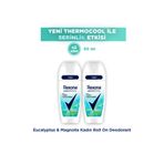 Rexona Thermocool Kadın Roll On Deodorant Eucalyptus & Magnolia 50 ml x2