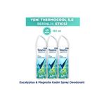 Rexona Thermocool Kadın Sprey Deodorant Eucalyptus & Magnolia 150 ml x3