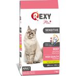 Rexy Biftekli 1 kg Kedi Maması