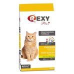 Rexy Tavuk Etli 10 kg Kuru Kedi Maması