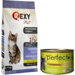 Rexy Tavuk Etli Yavru Kedi Maması 1 kg + Konserve Mama 80 gr