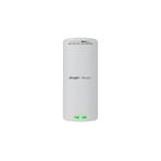 Reyee RG-EST100-E 300MHZ 2X2MIMO 8dbı 2.4ghz Outdoor 2 Li Paket Access Poınt