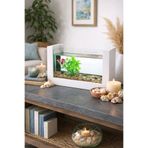 Reyo Ok-Ay Store Beta Balığı Için Ahşap Mini Akvaryum Modern Şık Doğal Minimal Tasarım Akvaryum Beyaz