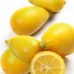 Reyon 6 Yaş Aşılı Limequat Süs Limonu Fidanı, Torbada