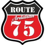 Reysa Tasarım 75 Ardahan Sticker 10X10 Cmrenkli Sticker - Tek Ebat