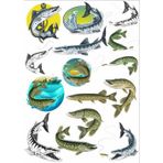 Reysa Tasarım Balık Sticker Set