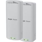 Rg-Est100-E Outdoor 300 Mbps 2.4 Ghz 2Li Paket Noktadan Noktaya Dış Mekan Access Point