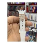 RG Teknoloji Apple Watch Kordon Uyumlu Charm/aksesuartaşlılovesüs38/40/41/42/44/45/49mm