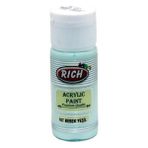 Rich 30cc Bebek Yeşili Akrilik Boya