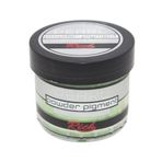 Rich 5744380 11025 Yeşil 60 cc Sedef Toz Pigment