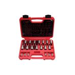 RICO 007-RC3029 1/4 ve 1/2 Torx Uçlu Lokma Takımı Delikli 20 Parça