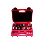 Rico 007-RC3029 20 Parça Delikli Torx Lokma Seti