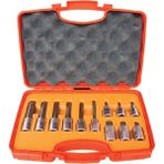 Rico 1/2 M Tipi Torx Lokma Uç Seti Takımı 12 Parça