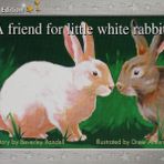 Rigby PM: Platinum Yellow,: Levels 6-8, Storybook (Add to Pack)