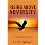 Rising Above Adversity: A Life Journey for High Achievers: How to Determine What You Want and Then Execute a Plan to Get It
