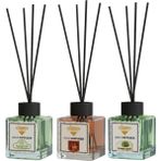 Rivola 3'lü Set Premium Oda Kokusu Yasemin - Amber - Sandal Ağacı Reed Diffuser – Uzun Süre Kalıcı Koku – Bambu Çubuklu Ev, Ofis, Banyo Ortam Kokusu - Amber – Sandal Ağacı – Yasemin