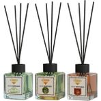 Rivola 3'lü Set Premium Oda Kokusu Yasemin - Hanımeli - Amber Reed Diffuser – Uzun Süre Kalıcı Koku – Bambu Çubuklu Ev, Ofis, Banyo Ortam Kokusu - Amber – Hanımeli – Yasemin