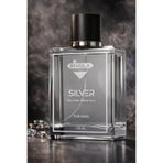 Rivola Erkek Silver Parfümsü 100 ML Edc