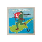Rıza Pekkutsal Hey Gidinin Yunanı - İcabında Kaçak Almanyada 45 lik Plak (Orjinal 1974 Dönem Plak)