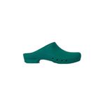 RKM TİCARET Steril Edilebilir Antistatik Otoklavlanabilir Ameliyathane Terliği Unisex - Bay-Bayan Terlik yeşil 34-35