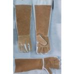 RKVC VETERİNER KEDİ KÖPEK TUTMA ELDİVENİ 60 CM