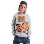 Roar Erkek Çocuk Gri Sweatshirt