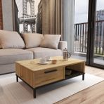 Robin Home Orta Sehpa Metal Ayaklı Çekmeceli Keçe-Siyah DG18 - Kahverengi
