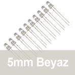 Robocombo 10 Adet 5 mm Şeffaf Beyaz Diyot Led