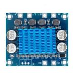 Robodünya-2 X 30 Watt Tpa3110 Çipli 8-26V Dijital Anfi Devresi Amplifikatör