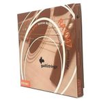 Robotrend Gallistrings Ra1047 Extra Light Akustik Gitar Teli