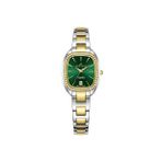 Roche Montre 25 mm Kadın Kol Saati RML5005-03