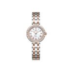 Roche Montre 27 mm Kadın Kol Saati RML5002-04