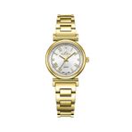 Roche Montre Altın 28 mm Kadın Kol Saati RML7001-05