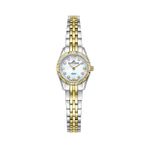 Roche Montre Çok Renkli 20 mm Kadın Kol Saati RML5018-02