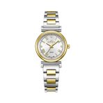 Roche Montre Çok Renkli 28 mm Kadın Kol Saati RML7001-02