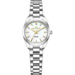 Roche Montre RML5003-02 Kadın Kol Saati - Metalik Gri