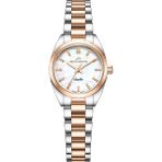 Roche Montre RML5003-05 Kadın Kol Saati - Metalik Gri - Pembe