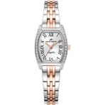 Roche Montre RML5004-04 Kadın Kol Saati - Metalik Gri - Pembe