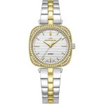 Roche Montre RML7002-02 Kadın Kol Saati - Altın - Metalik Gri
