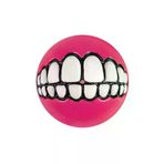 Rogz Toyz Grinz 6.4 cm Pink Ödül Hazneli Köpek Oyun Topu