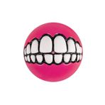 Rogz Toyz Grinz 6.4 cm Pink Ödül Hazneli Köpek Oyun Topu