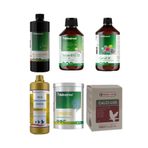 Röhnfried Üretim Sezonu Öncesi Ve Sonrası Muhabbet Kuşu Vitamin Seti (TABLOLU) (CAM ŞİŞE - ORİJİNALDEN BÖLME)