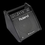Roland PM-100 80 Watt Davul Monitörü