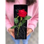 Romantik Hediye Siyah Kutuda Kırmızı Kadife Gül Sevgiliye Cicek Sevgiliye Ozel Sevgiliye Hediye